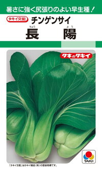 タキイ種苗 中国野菜 長陽 20ml