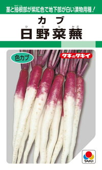 タキイ種苗 カブ 蕪 日野菜蕪 1dl