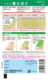 タキイ種苗 ゴボウ 葉ごぼう GF