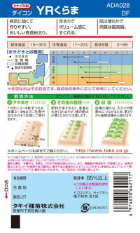 タキイ種苗 ダイコン 大根 YRくらま 2dl