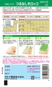 タキイ種苗 インゲン いんげん豆 つるなしモロッコ 1L