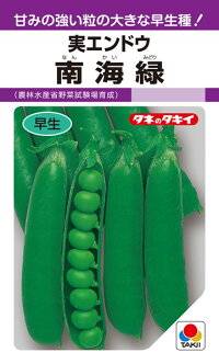 タキイ種苗 エンドウ 南海緑（農林水産省野菜試験場育成）1dl