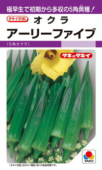 タキイ種苗 オクラ アーリーファイブ 1000粒