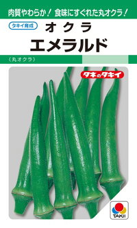 タキイ種苗 オクラ エメラルド GFのサムネイル