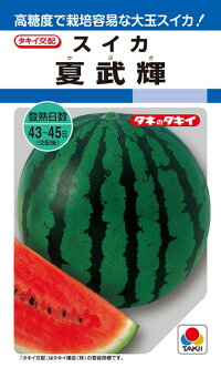 たね タキイ種苗 スイカ 種子 西瓜 夏武輝 DFのサムネイル