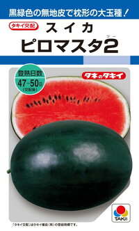 たね タキイ種苗 スイカ 種子 西瓜 ピロマスタ2 DFのサムネイル