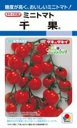 タキイ種苗 トマト 千果 100粒