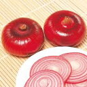 サカタのタネ タマネギ 玉葱 湘南レッド 小袋