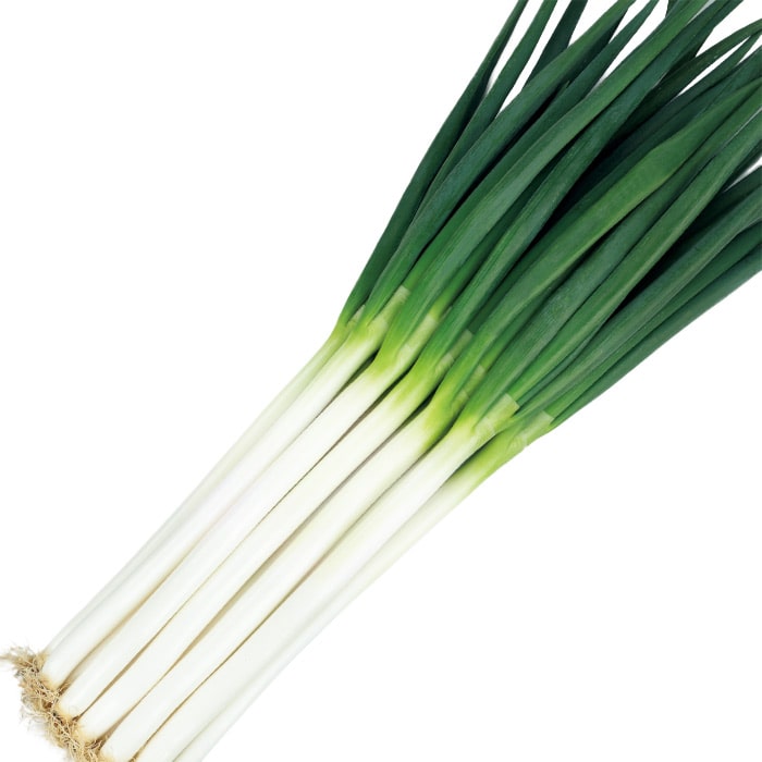 サカタのタネ ネギ 葱 ねぎ　冬扇シオン　1dl