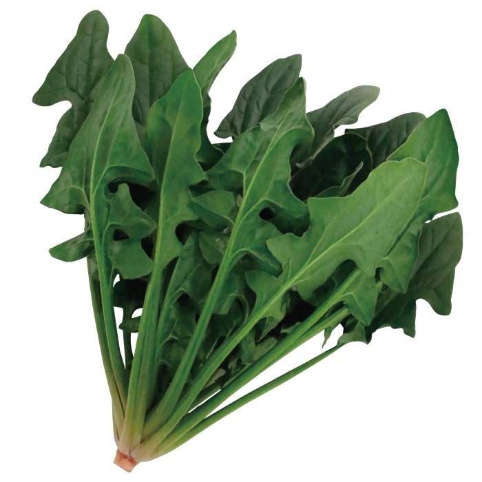 サカタのタネ 日本ほうれんそうタイプ 寒締め吾郎丸　小袋