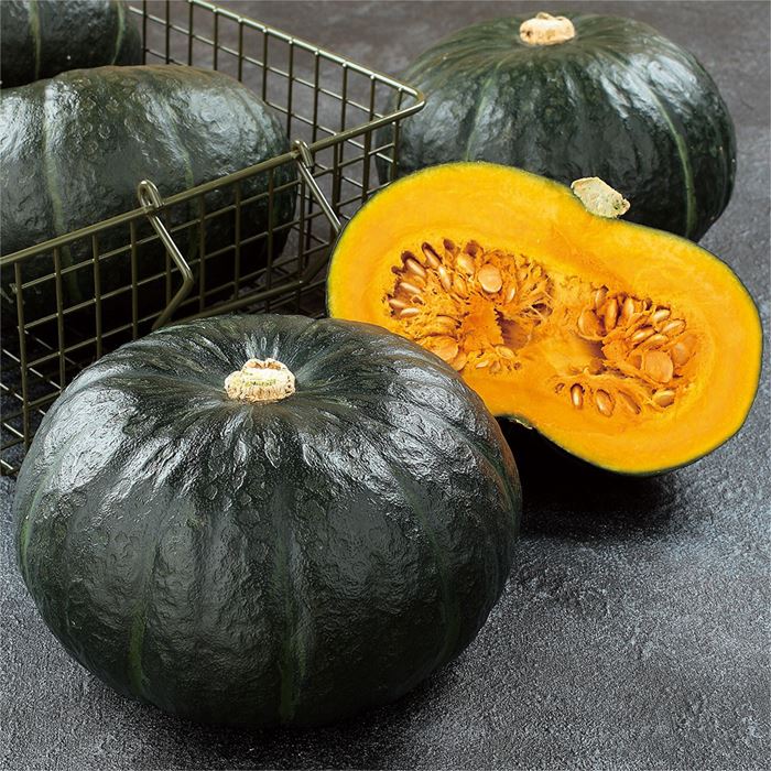 サカタのタネ カボチャ 南瓜 かぼちゃ　ブラックのジョー　小袋