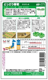 サカタのタネ シュンギク 春菊 さとにしき 小袋