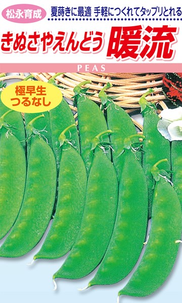 松永種苗 エンドウ さやえんどう　暖流 小袋