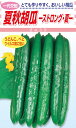 松永種苗 キュウリ 胡瓜 ストロング・夏 350粒