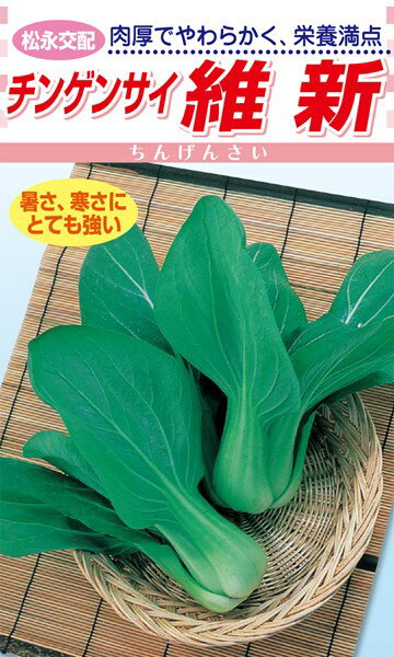 松永種苗 中国野菜 チンゲンサイ 維新 小袋