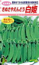 種苗・園芸ショップ 種もりで買える「松永種苗 エンドウ 絹さやえんどう　白姫 小袋」の画像です。価格は330円になります。