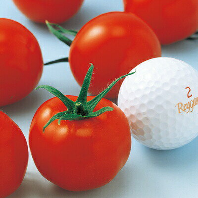 ナカハラのたね トマト スーパーミディトマト 小袋