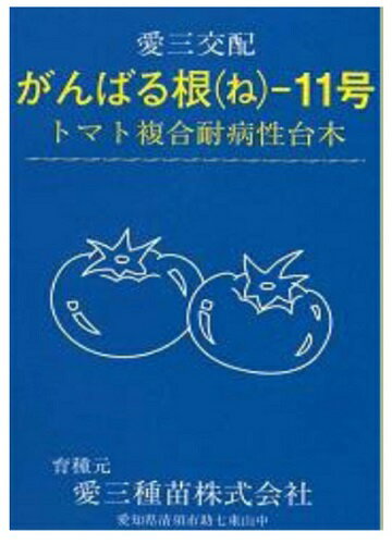 愛三種苗　トマト用台木　がんばる根11号　100粒