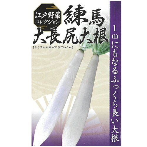 日本農林 ダイコン 大根 だいこん　練馬大長尻大根　小袋