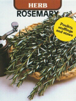 藤田種子　ローズマリー　小袋