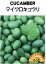 藤田種子 マイクロキュウリ 小袋 765円