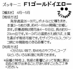 藤田種子 ズッキーニ F1 ゴールドイエロー 小袋