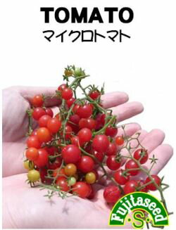 藤田種子　マイクロトマト　小袋
