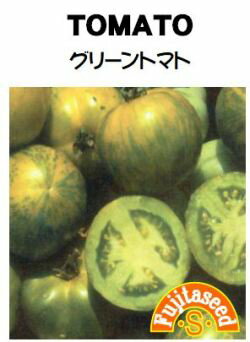 藤田種子　グリーントマト　小袋