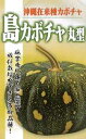 たね フタバ種苗 沖縄 島カボチャ(丸型) 小袋