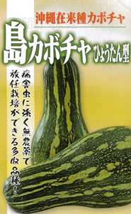 たね フタバ種苗　沖縄　島カボチャ（ひょうたん型）　20ml