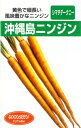 たね フタバ種苗 沖縄 島ニンジン 小袋