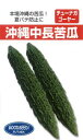 たね フタバ種苗 沖縄中長ゴーヤー 1L
