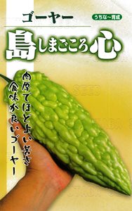 楽天種苗・園芸ショップ 種もりたね フタバ種苗　島心ゴーヤー　1L