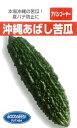たね フタバ種苗 沖縄あばしゴーヤー 小袋