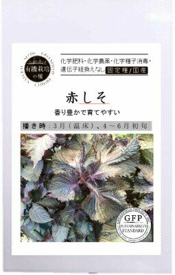 たね グリーンフィールドプロジェクト 赤しそ　小袋