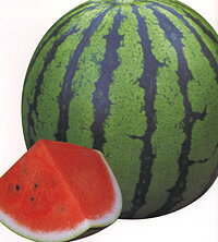 萩原農場　西瓜 スイカ すいか　大玉　スーパーエース　200粒