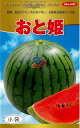 神田育種　スイカ すいか 西瓜 小玉　おと姫　小袋