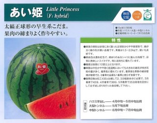 神田育種　スイカ すいか 西瓜 小玉　あい姫　200粒