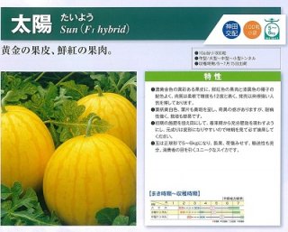神田育種　スイカ すいか 西瓜　太陽　小袋