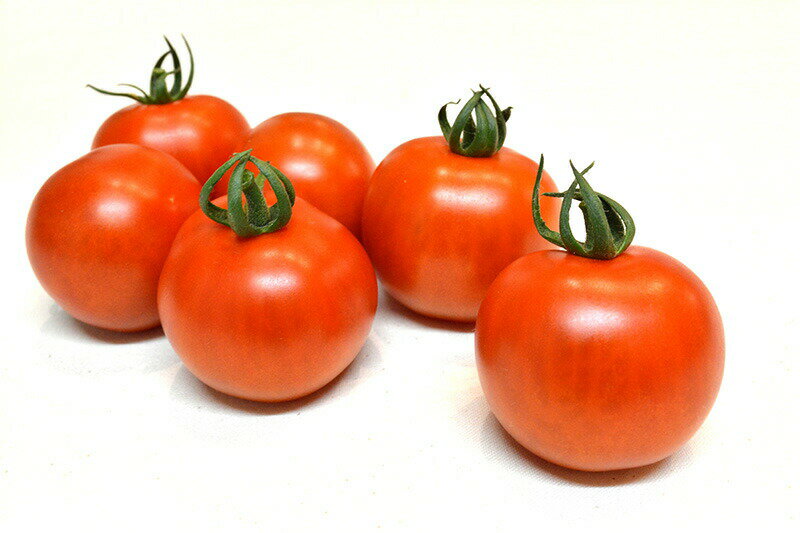 たね 小林種苗　トマト　とまと　TYマリオ　小袋