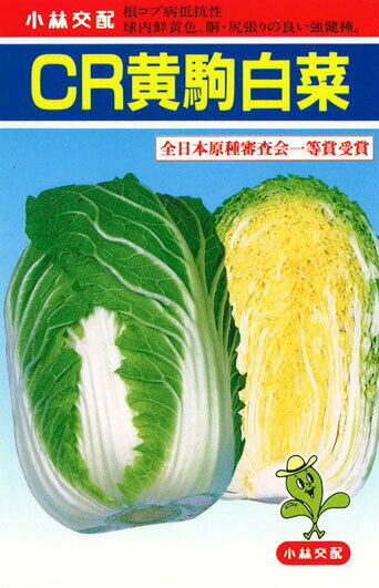 たね 小林種苗 ハクサイ はくさい 白菜　CR黄駒　コート5000粒