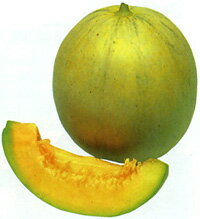 たね 丸種 メロン　白鳥　小袋