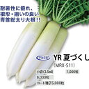 たね 丸種 ダイコン 大根 だいこん YR夏づくし 1000粒