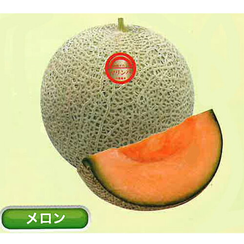 丸種 メロン　マリン