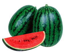 たね 丸種 スイカ 種子 姫まくら　小袋のサムネイル