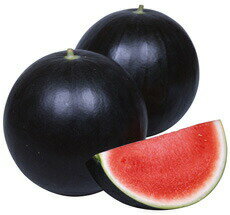 たね 丸種 シードレススイカ 種子 ほお晴れBJ　小袋