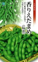 丸種 枝豆 香りえだまめ (陽恵)100粒