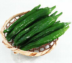 丸種 トウガラシ 唐辛子 とうがらし　サクっとあまながとうがらし　500粒