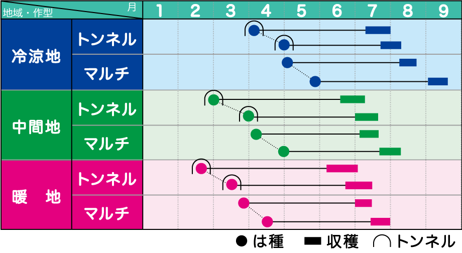 みかど協和 トウモロコシ ホワイトショコラ　2000粒