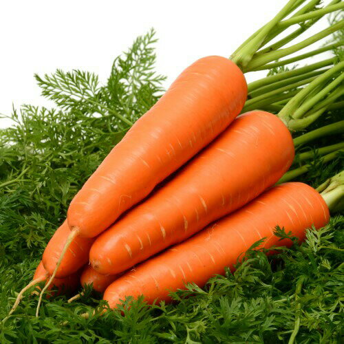 みかど協和 ニンジン にんじん 人参 ローラ コート200粒